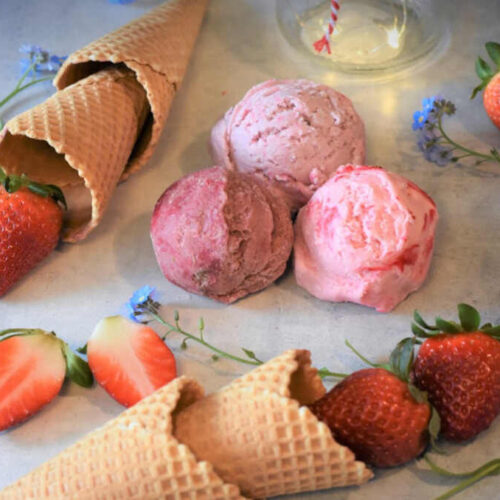 Popular Ninja Creami Recipes
