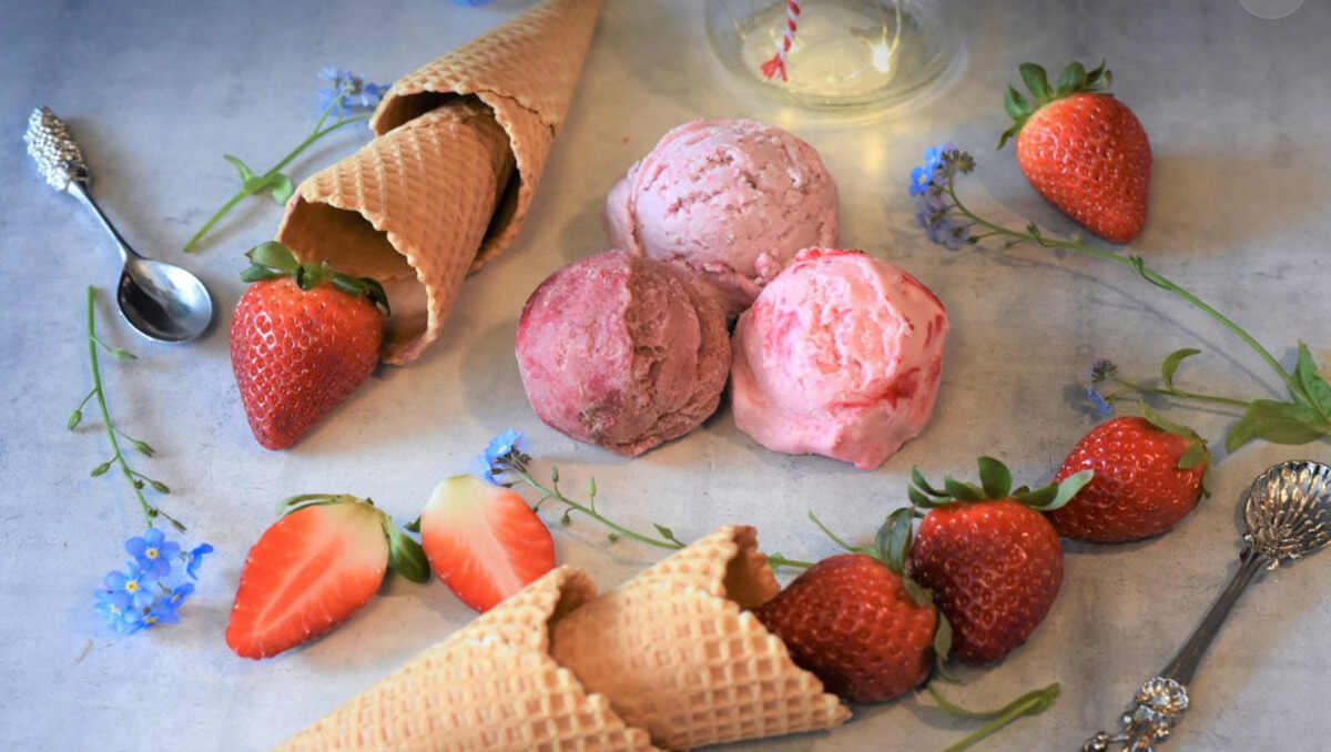 Popular Ninja Creami Recipes